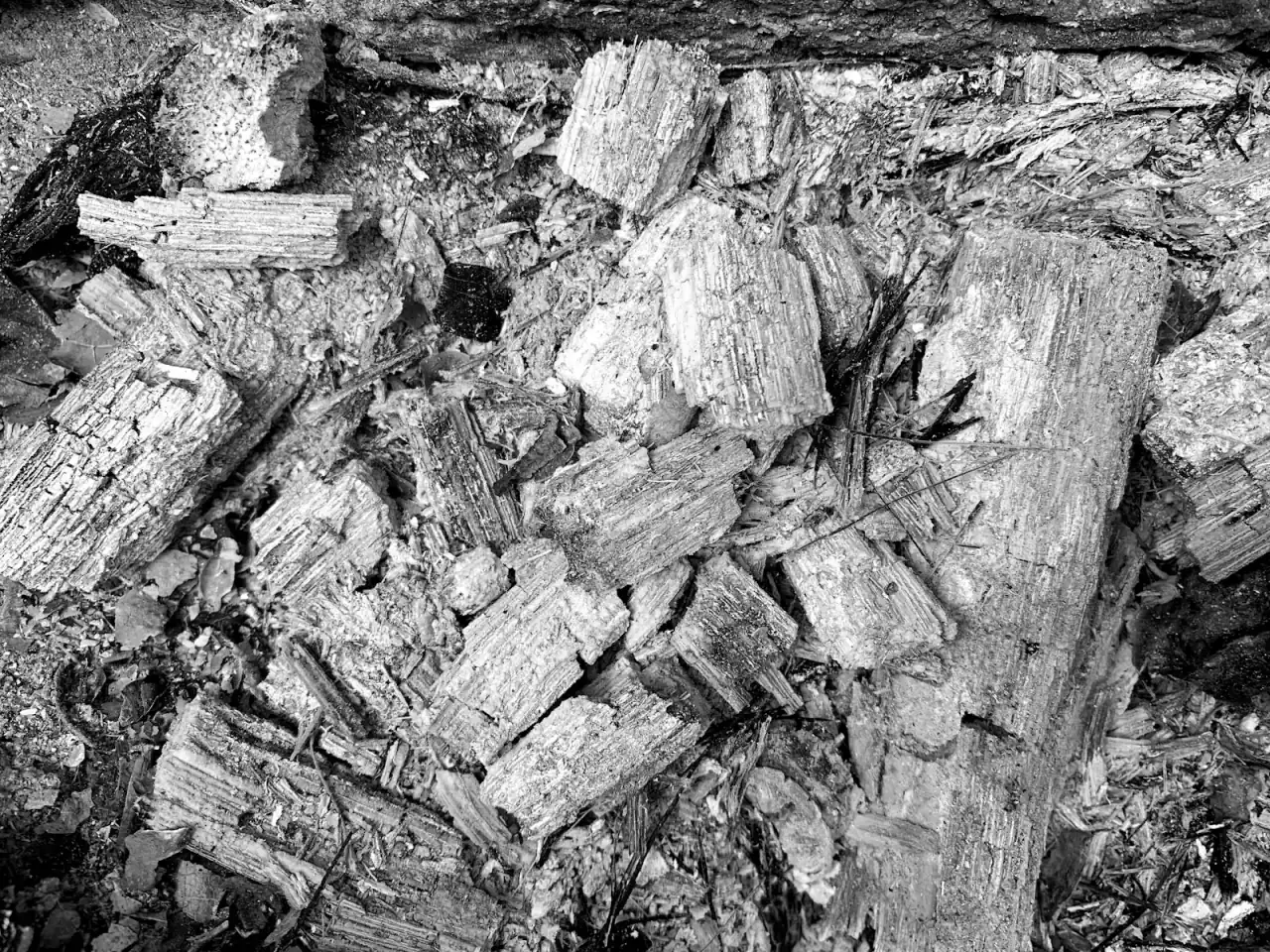 Nahaufnahme von verkohltem Holz und Asche in Schwarz-Weiß